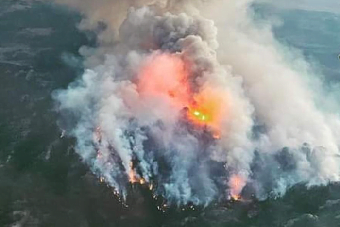 What Happened in Maui