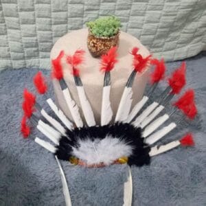 Feathered Indians Code Word